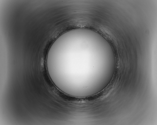 X0000094930646200711291002