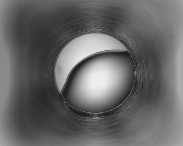 X0000094930647200711291002