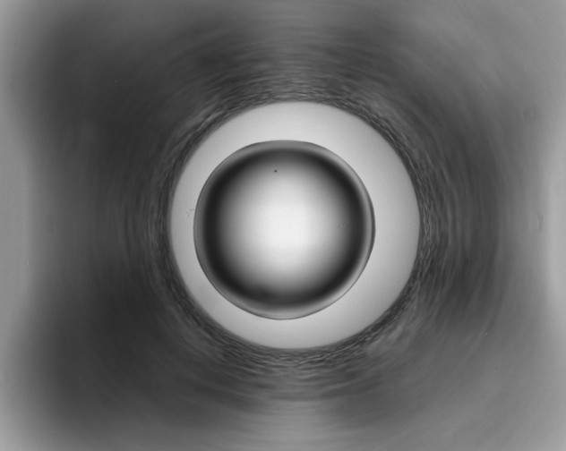 X0000094930648200711291002