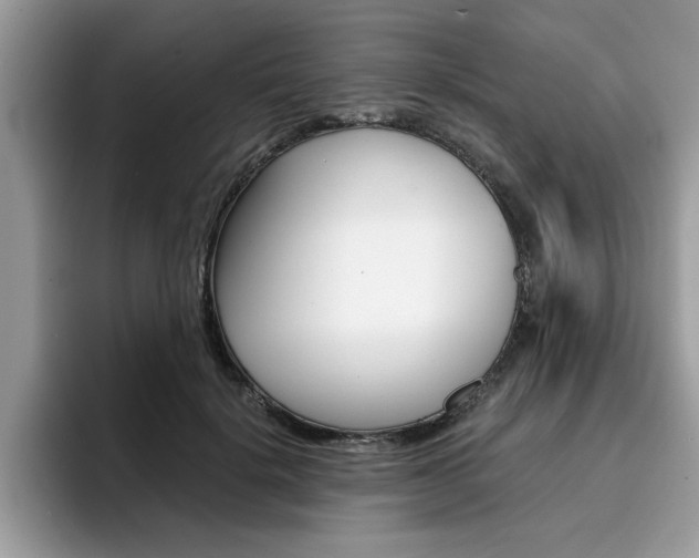 X0000094930652200711291002