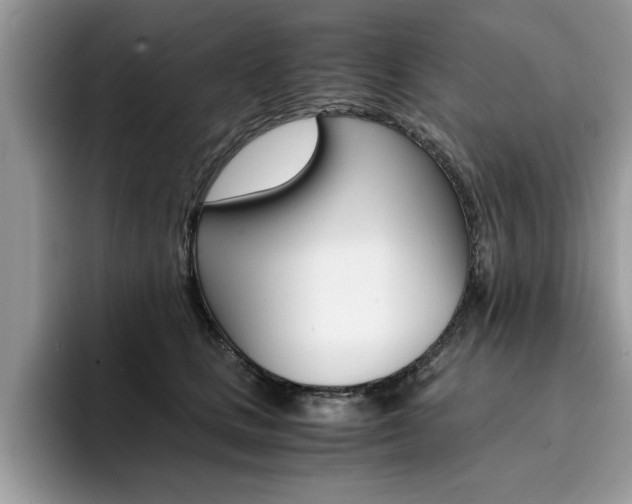 X0000094930661200711291002