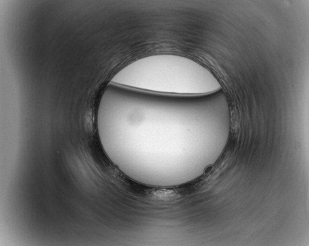X0000094930669200711291002