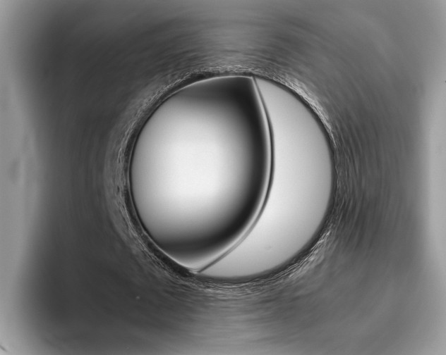 X0000094930673200711291001