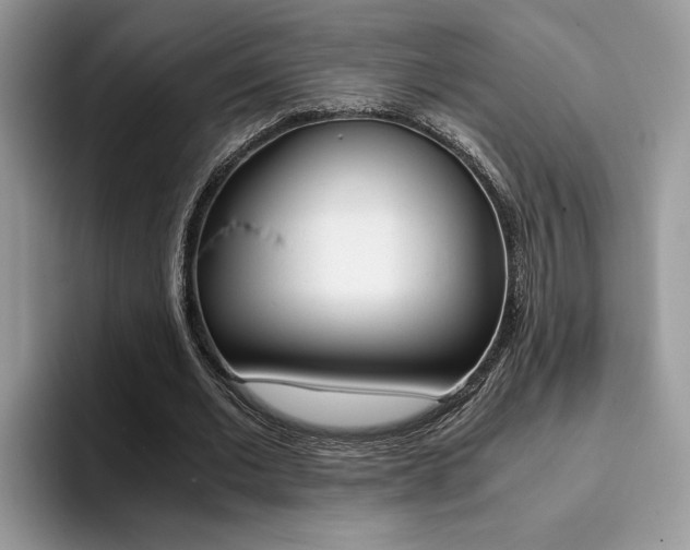 X0000094930677200711291001