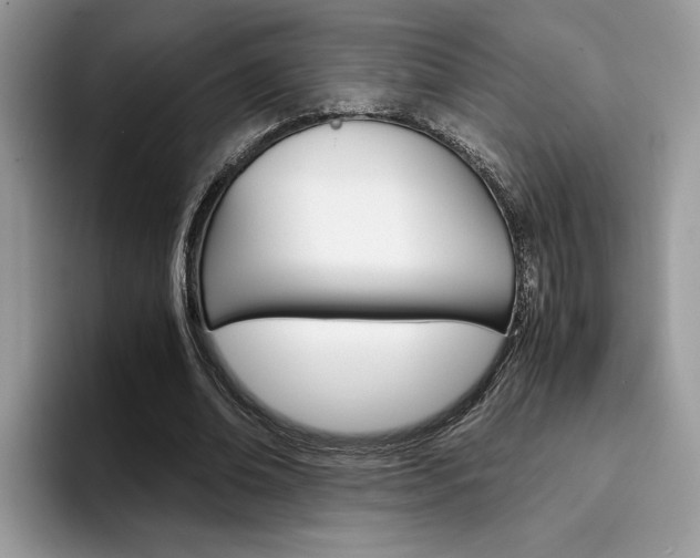 X0000094930678200711291001