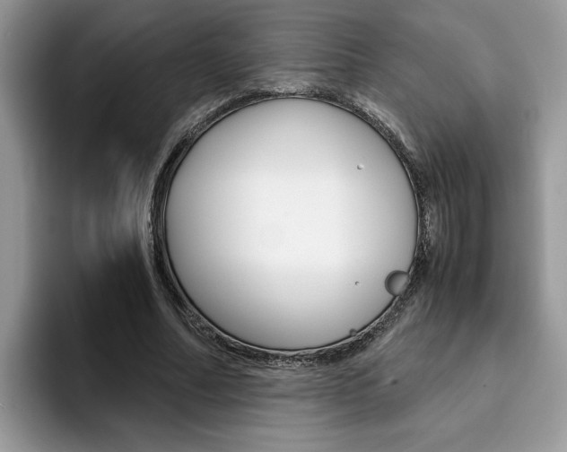 X0000094930682200711291001