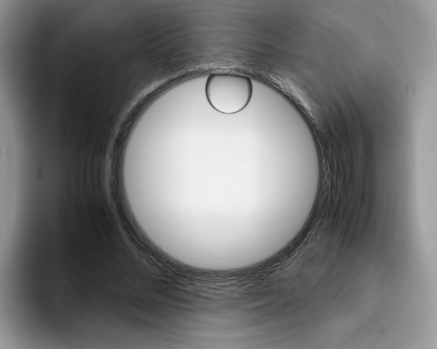 X0000094930684200711291001