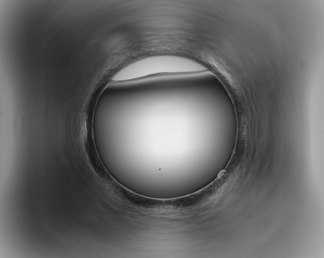 X0000094930685200711291001