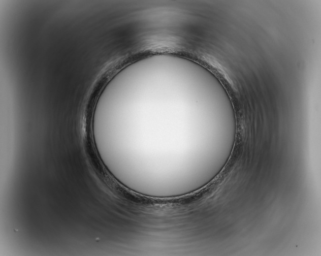 X0000094930686200711291001