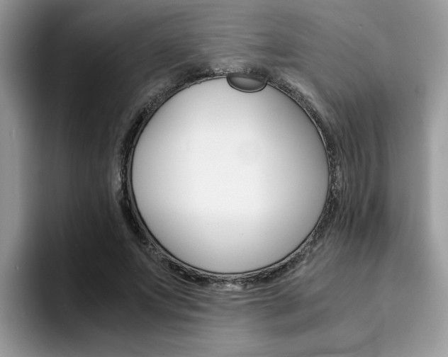 X0000094930687200711291001