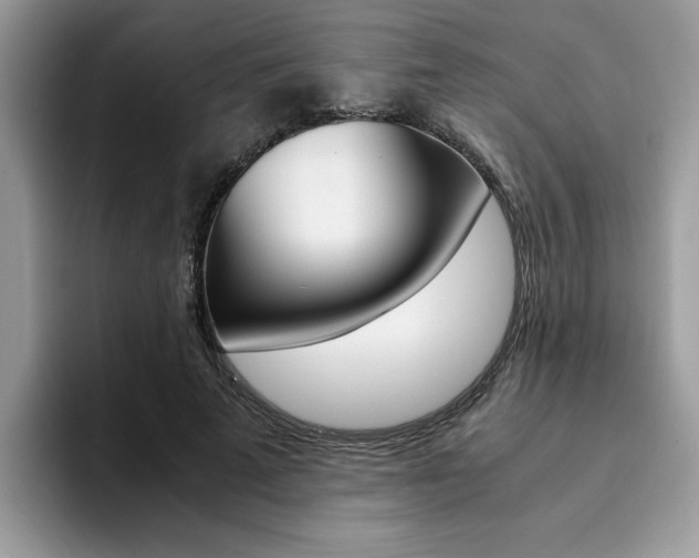 X0000094930689200711291001