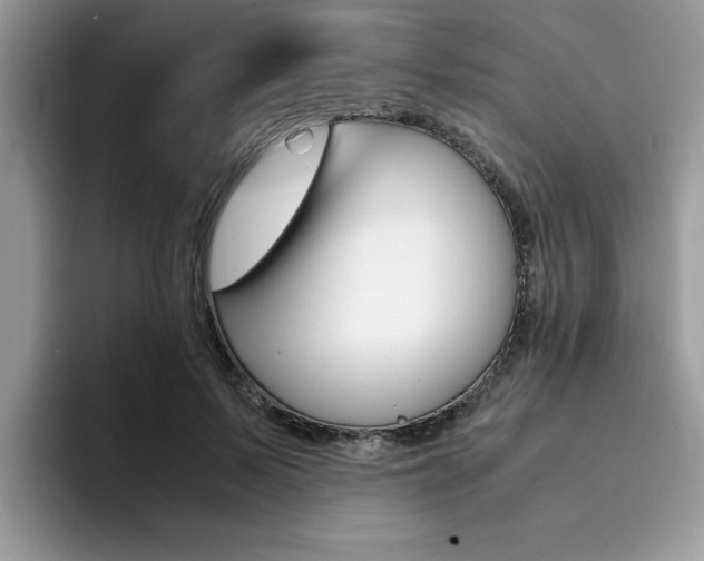 X0000094930695200711291001