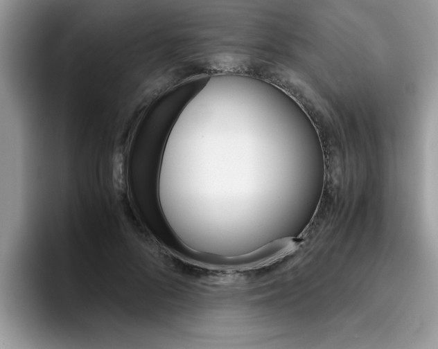 X0000094930696200711291001