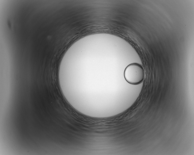 X0000094930700200711291001