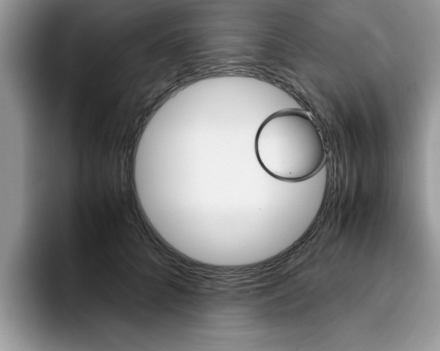 X0000094930704200711291001