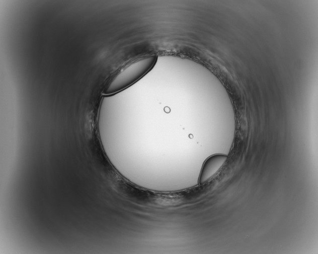 X0000094930707200711291001