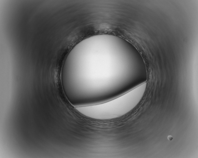 X0000094930708200711291001