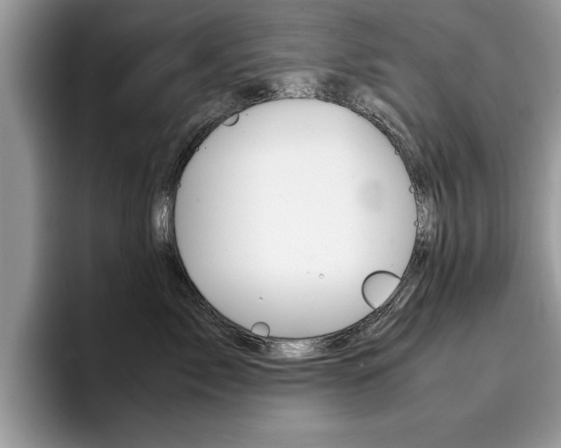 X0000094930717200711291001