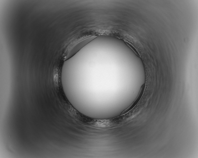 X0000094930720200711291001
