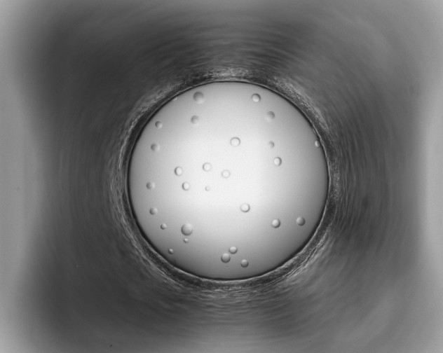 X0000094930721200711291000