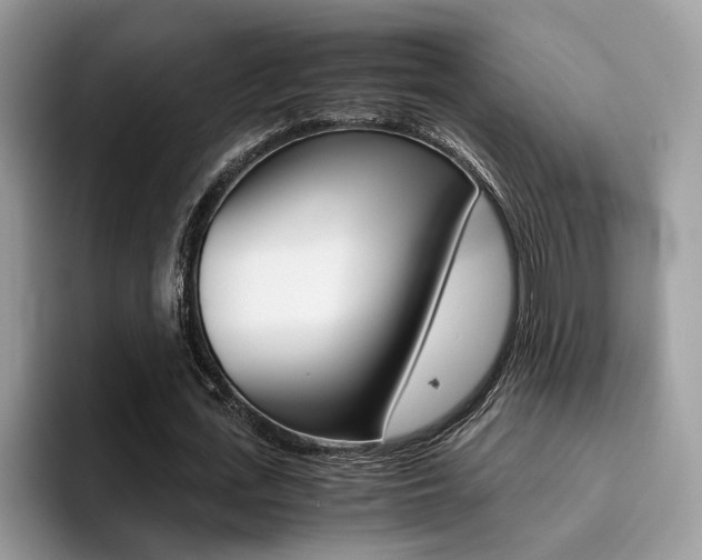 X0000094930723200711291000
