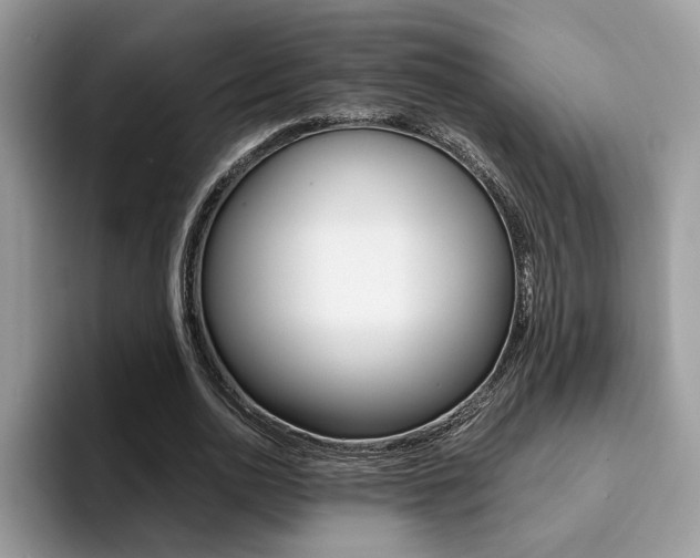 X0000094930726200711291000
