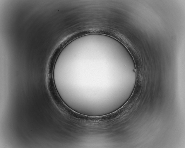 X0000094930728200711291000