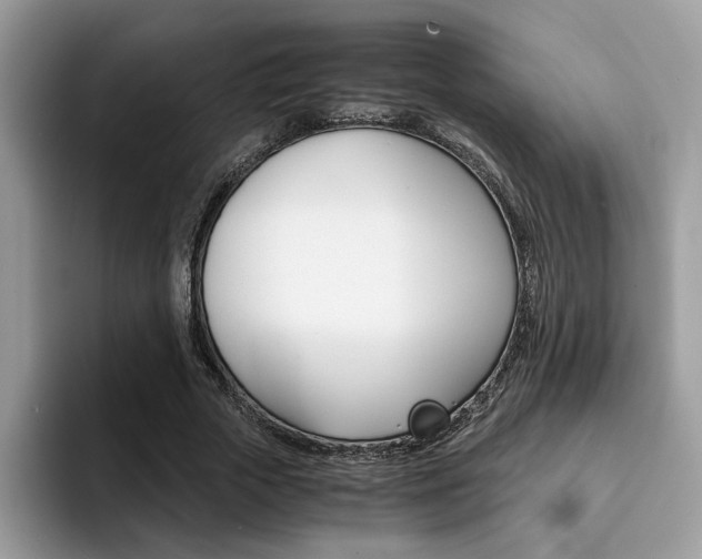 X0000094930729200711291000
