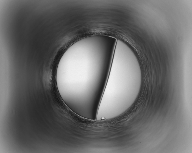 X0000094930731200711291000