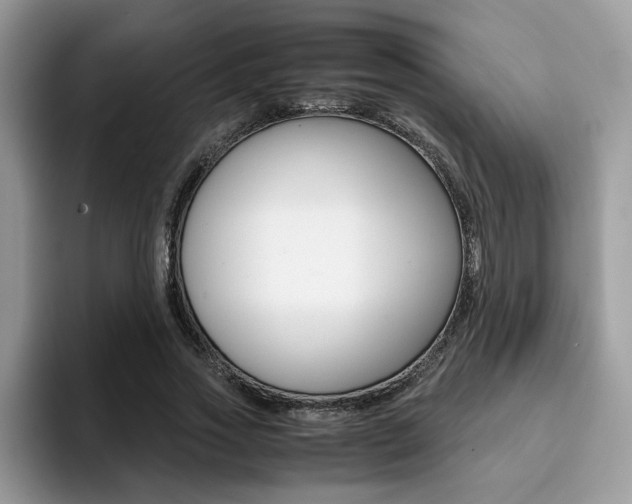 X0000094930733200711291000