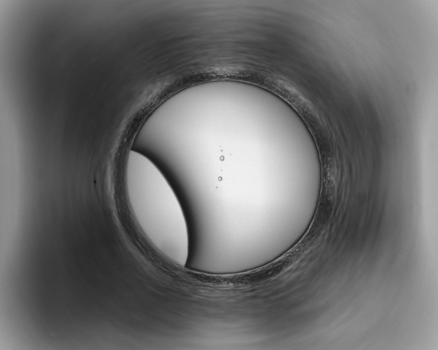 X0000094930734200711291000