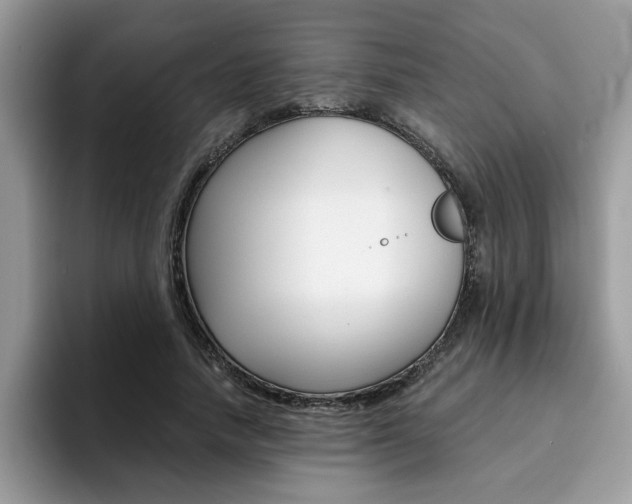 X0000094930738200711291000