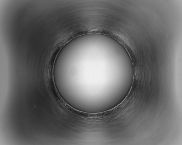 X0000094930740200711291000