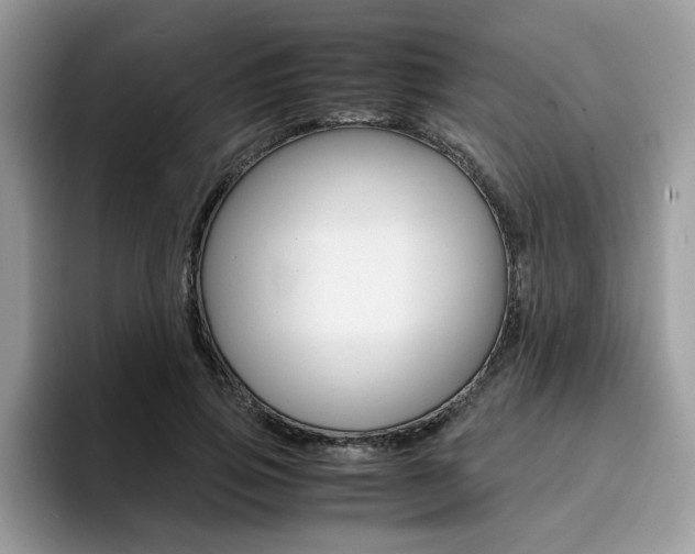 X0000094930741200711291000
