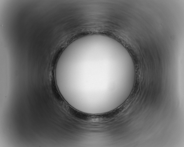 X0000094930746200711291001