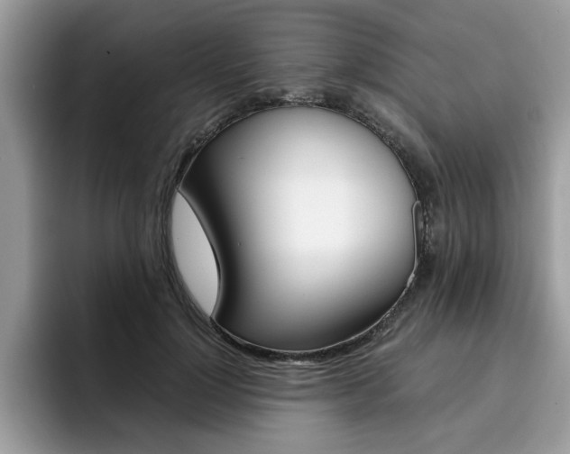 X0000094930748200711291001