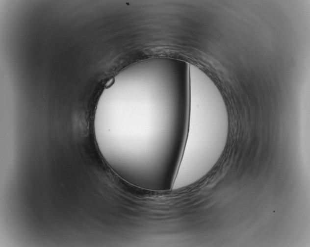 X0000094930751200711291001