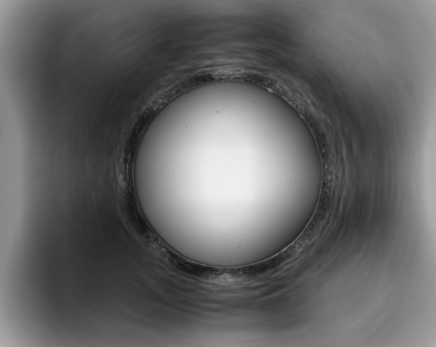 X0000094930755200711291001