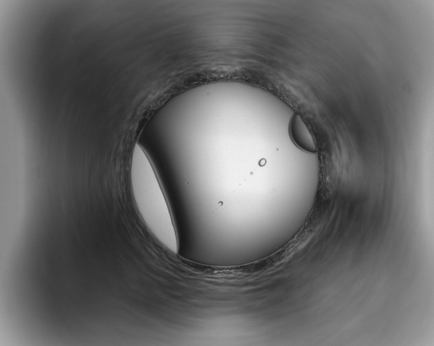 X0000094930758200711291001