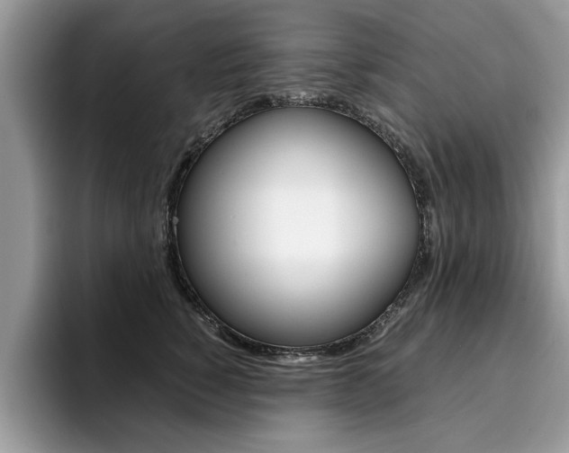 X0000094930760200711291001