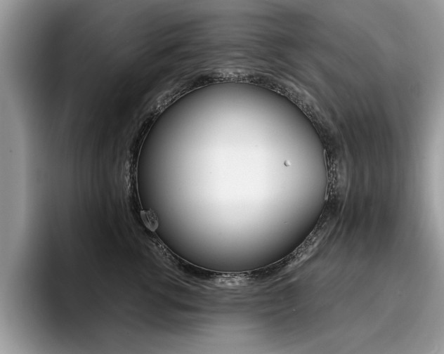 X0000094930762200711291001
