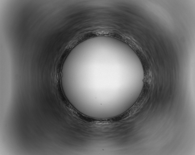 X0000094930763200711291001