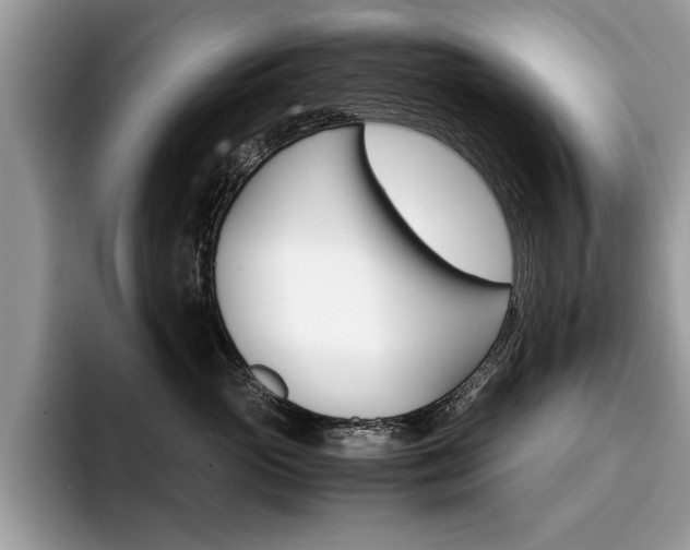 X0000094930765200711291001