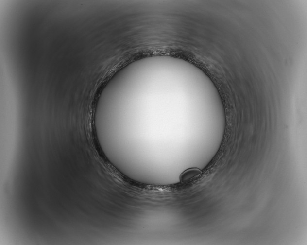 X0000094930768200711291001