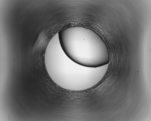 X0000094930770200711291000