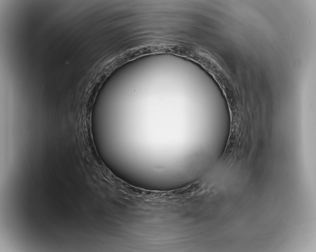 X0000094930773200711291000