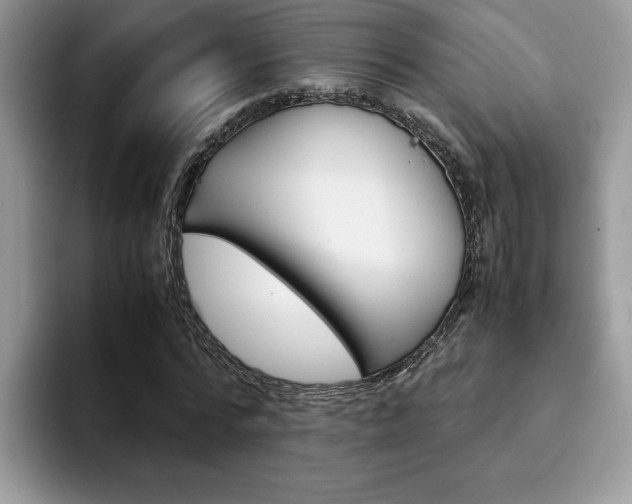 X0000094930776200711291000