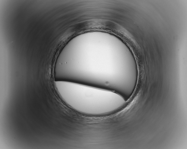 X0000094930777200711291000