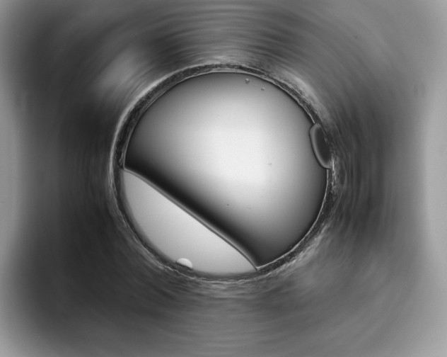 X0000094930780200711291000