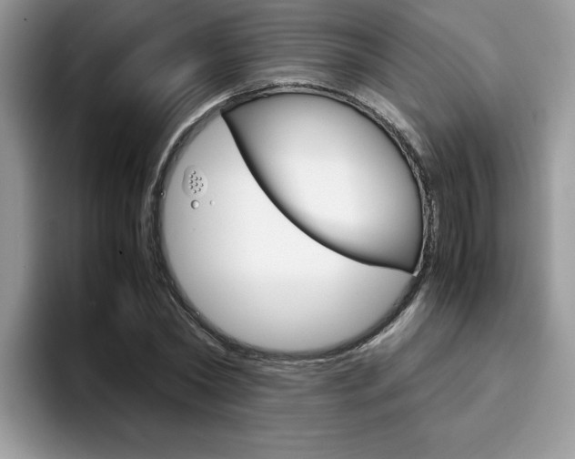 X0000094930782200711291000